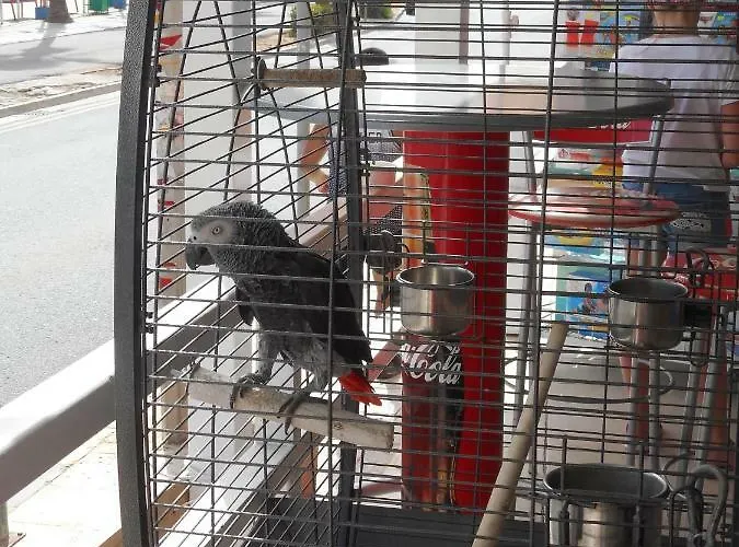 Kkaras 3 Star Hotel 2*