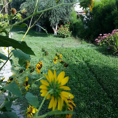 酒店 Kkaras 3 Star 2*