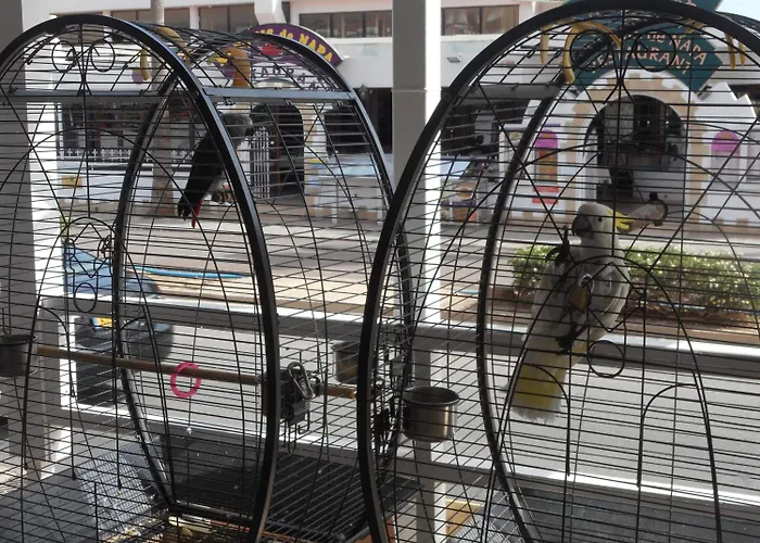 Kkaras 3 Star Ayia Napa