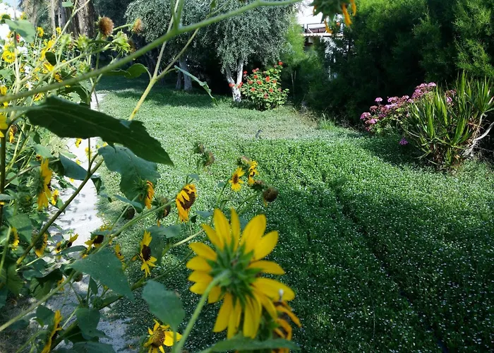 Hotell Kkaras 3 Star 2*